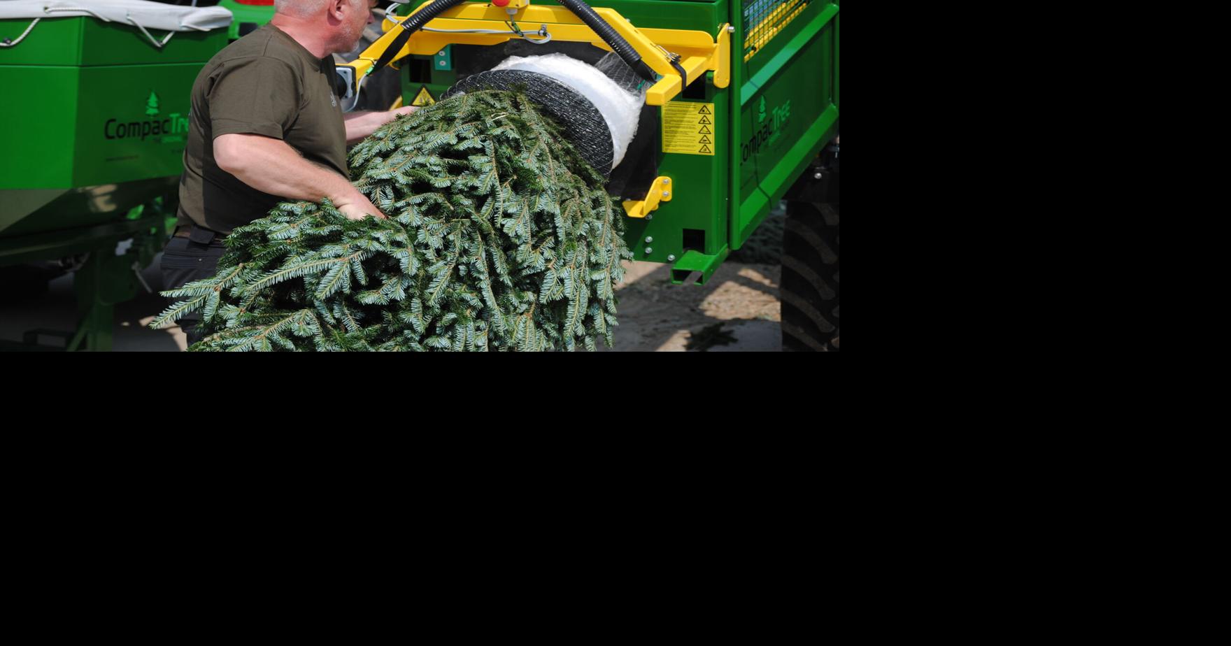 Missaukee's Christmas tree industry goes international