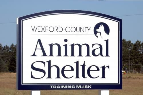 Wexford Co Animal Shelter Slowly Utilizing Roughly 160k Donation