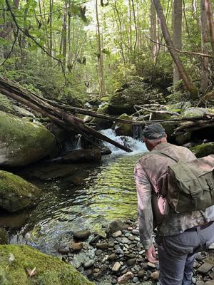 Pocketwater angling methods can even be successful on Michigan’s placid streams