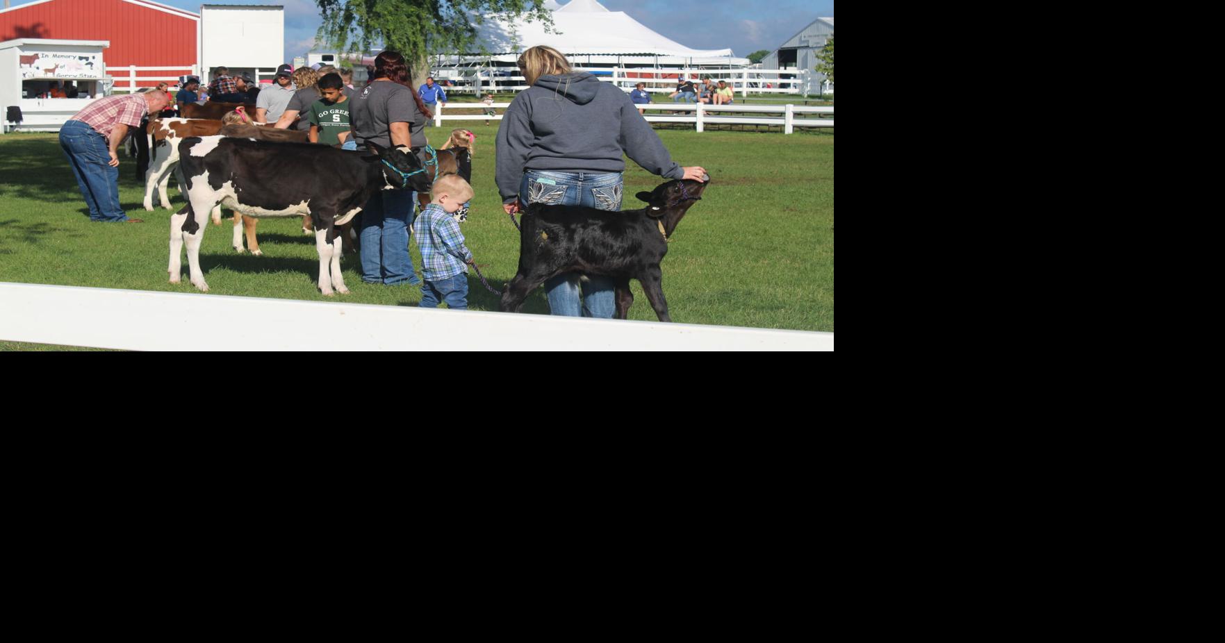 Dairy day at the Osceola County Fair News