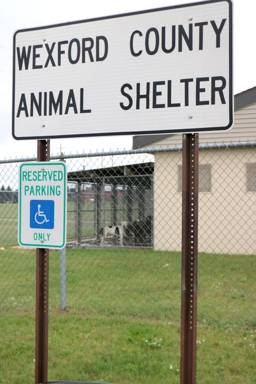 Wexford Co. Animal Shelter closed due to parvovirus
