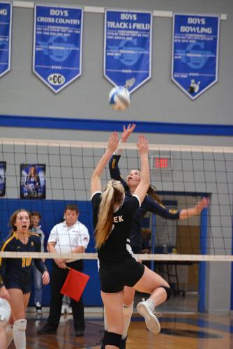 Cadillac to face GR West Catholic in D2 quarterfinals | Sports