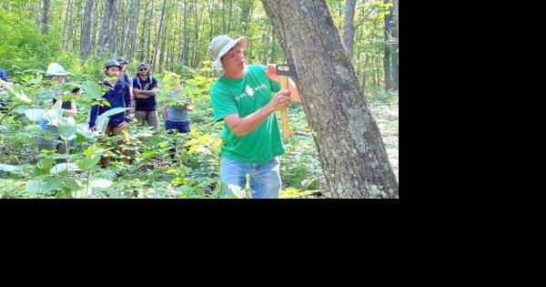 What is threatening our forests? - Vimarsana News