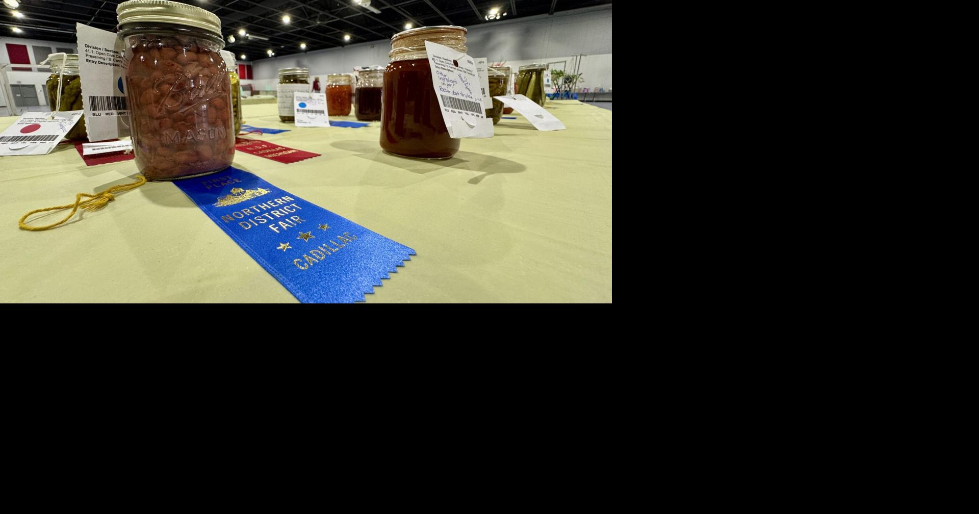 Still exhibits showcase talents, traditions and new projects at Northern District Fair