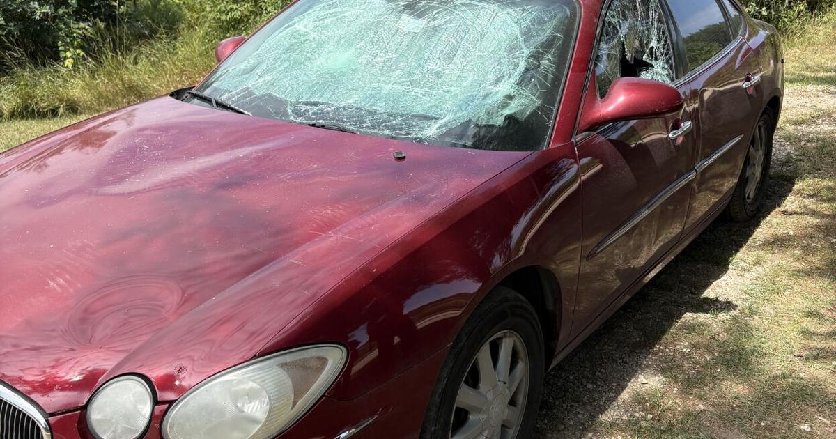 MSP seeking public's help related to damaged property complaint