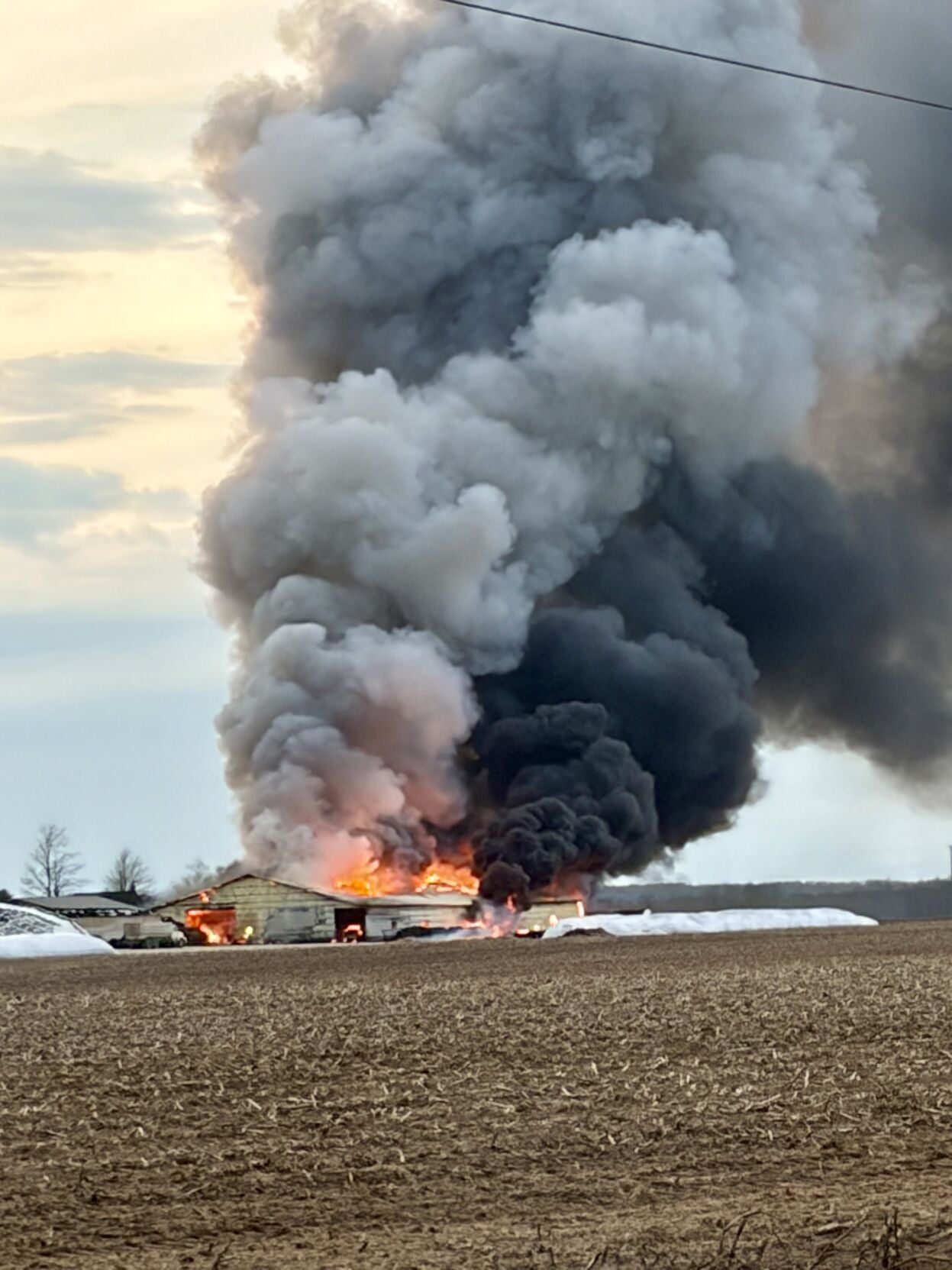 Farm structure destroyed in fire near Falmouth | | cadillacnews.com