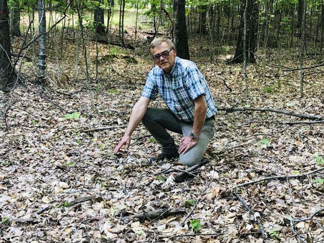 Looking back at a forester career | Guest Column | cadillacnews.com