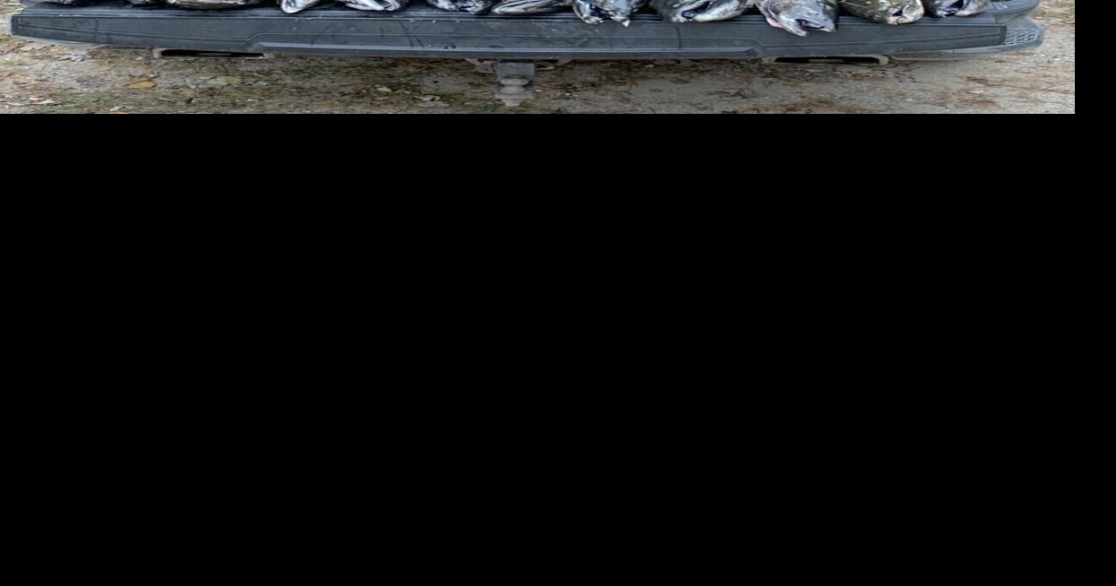 Colorado group owes more than 6,600 for poaching fish in Michigan