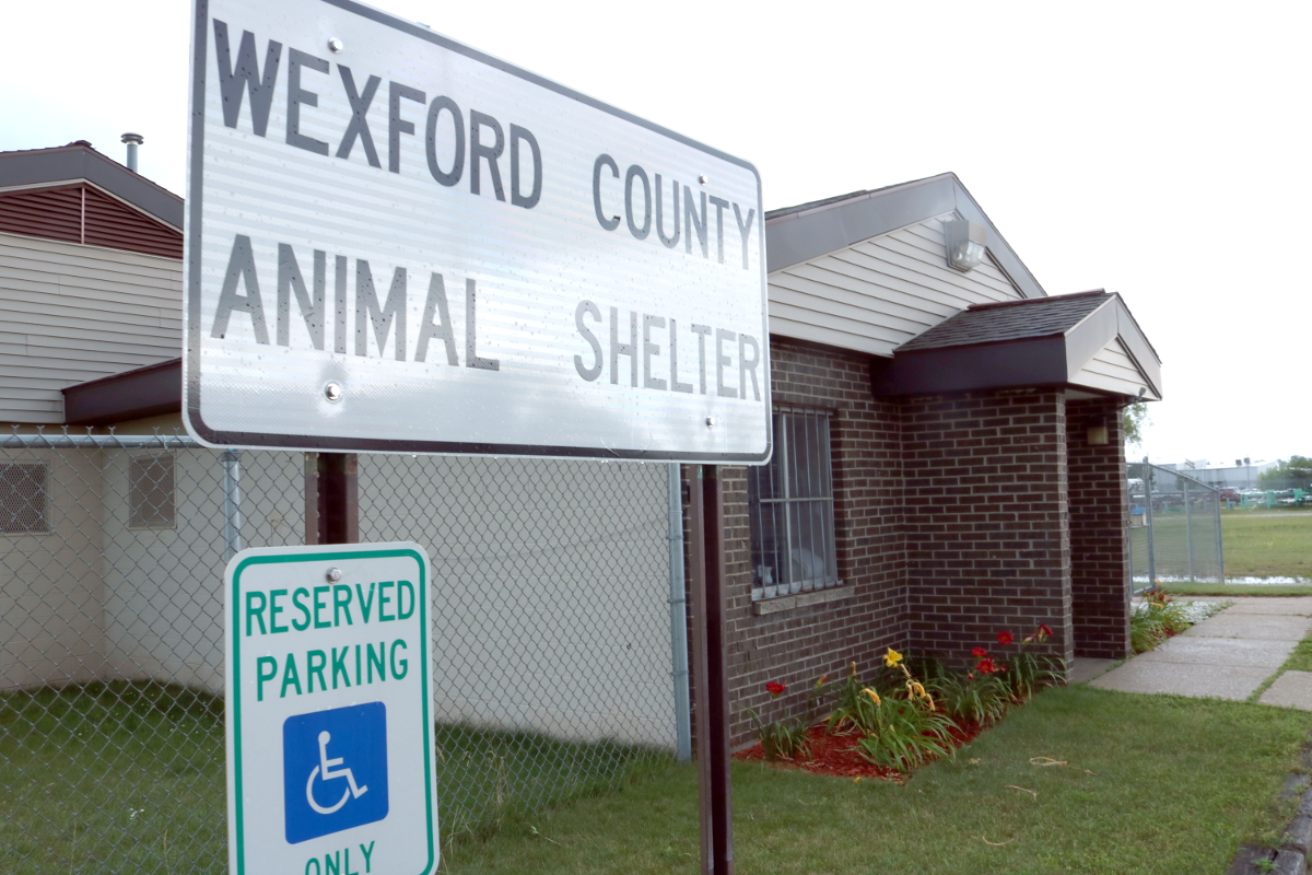 Wexford County Animal Shelter to remain closed until at least Aug. 15