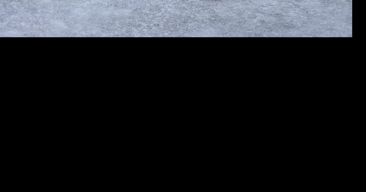 Reading winter tracks: What wildlife sign tells you about your land's health