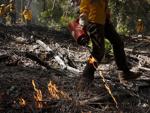 How controlled burns can help save taxpayers billions