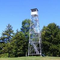 Sandy Ridge Fire Tower State Eyes Work On Fire Towers | Local News | caledonianrecord.com