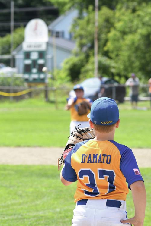 Williston Wins Little League 8-10 Vermont State Championship