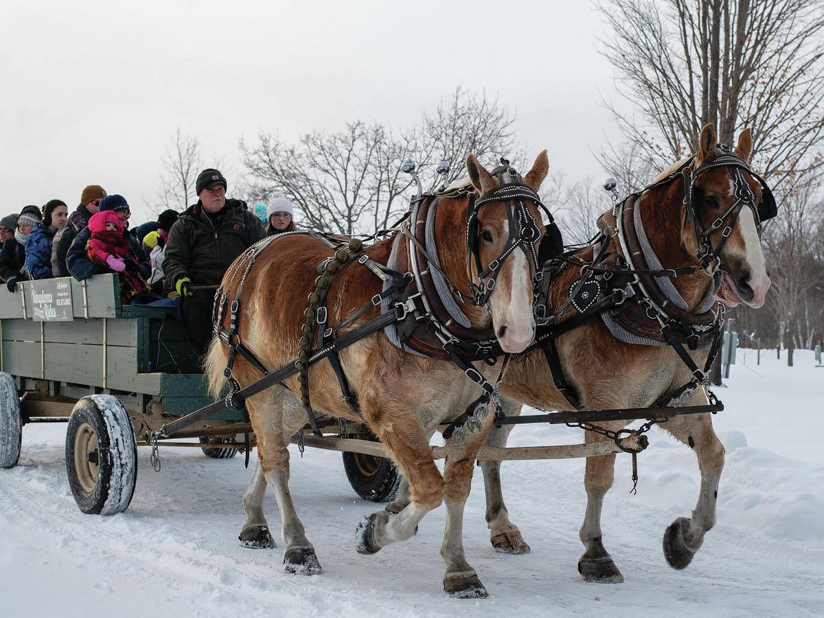 Hundreds Enjoy Newport Winter Festival Community
