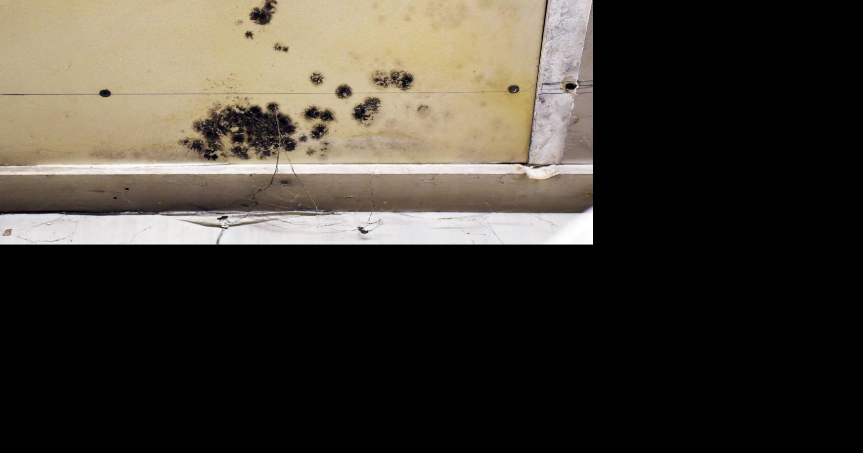 Architect questions proposed Waterford site as officials confront mold, staffing problems