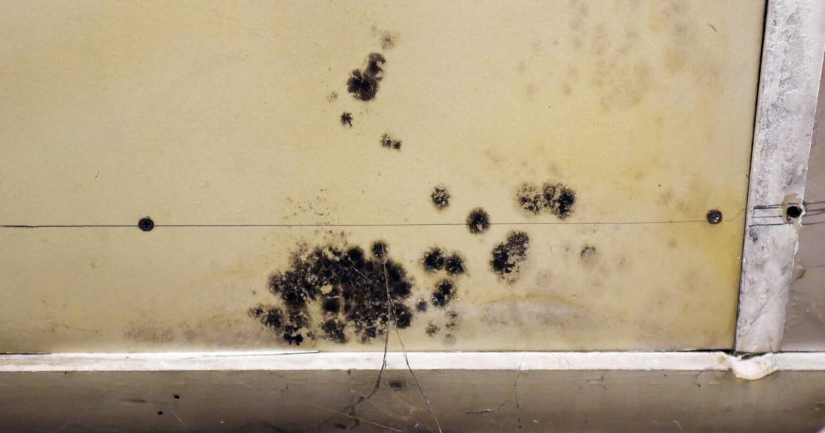 Architect questions proposed Waterford site as officials confront mold, staffing problems