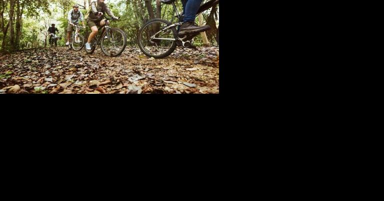 Bicycle Group Has Big Plans, Projects For 2024 - Vimarsana News