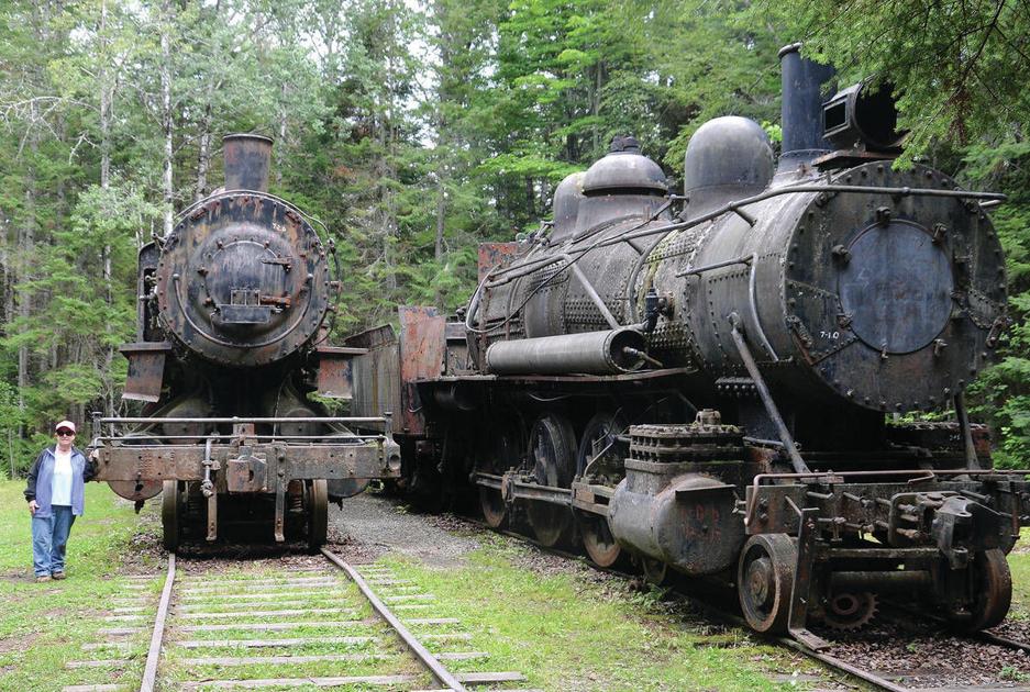 Thoughts on the OutofDoors Abandoned trains lie deep in northern