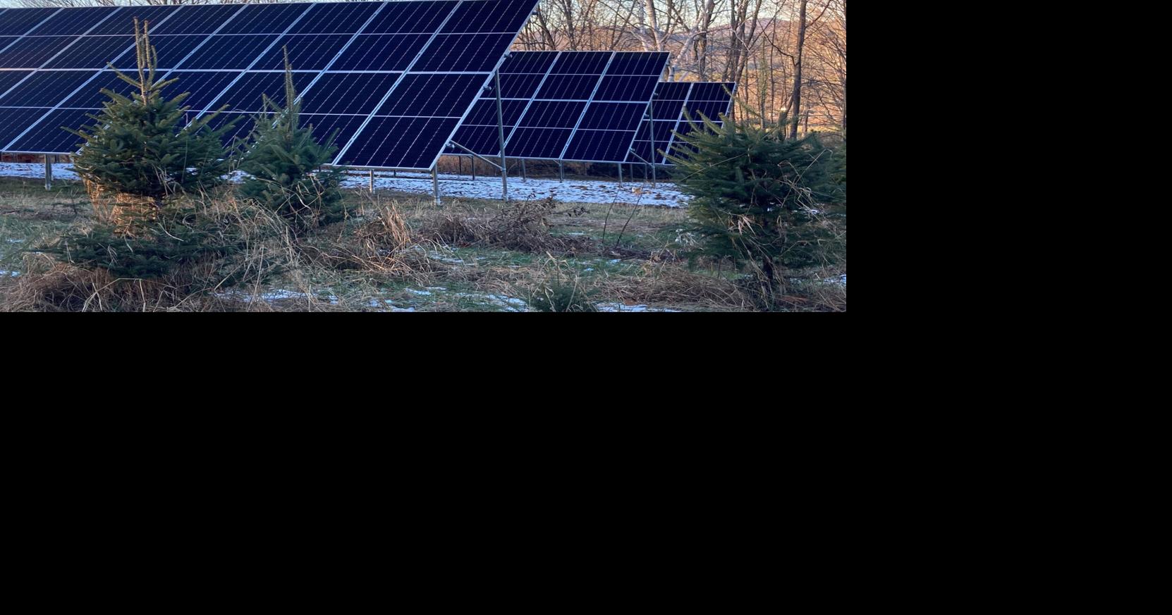 Rocks Estate Installs Solar Array As Part Of Renovations | Local News ...