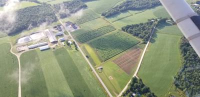 A-Maze-Ing Perspective