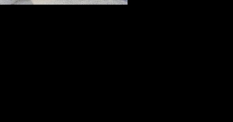 Leon Garfield Obituary - Vimarsana News