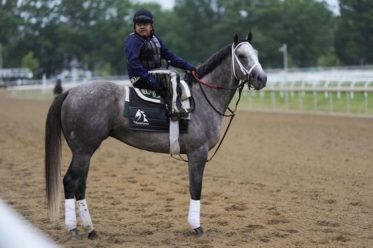 Belmont with Kentucky Derby and Preakness winners could be the best of