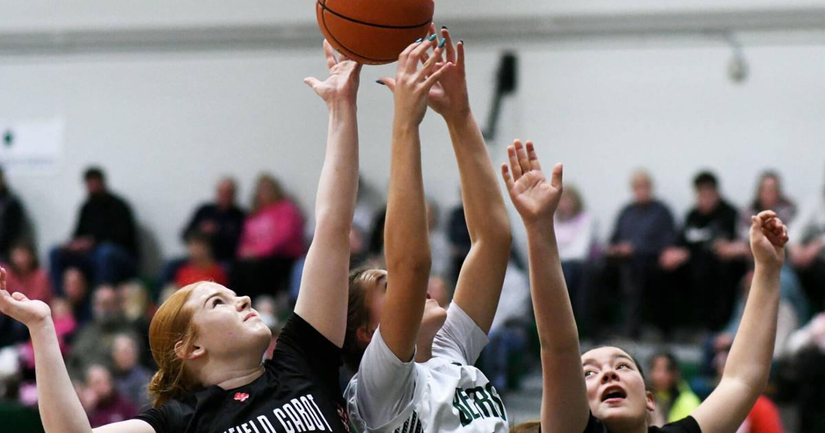 Danville, Twinfield, Cabot Join Forces As Caledonia United Girls Basketball