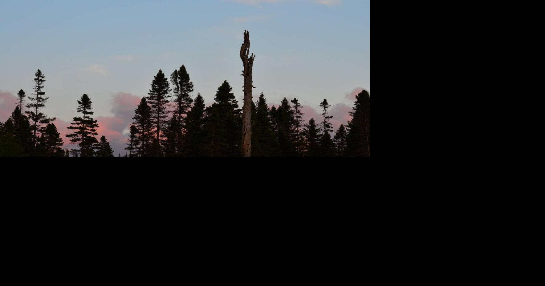 State Passes On Conn. Lakes Forest Purchase, But Will Enforce Easement