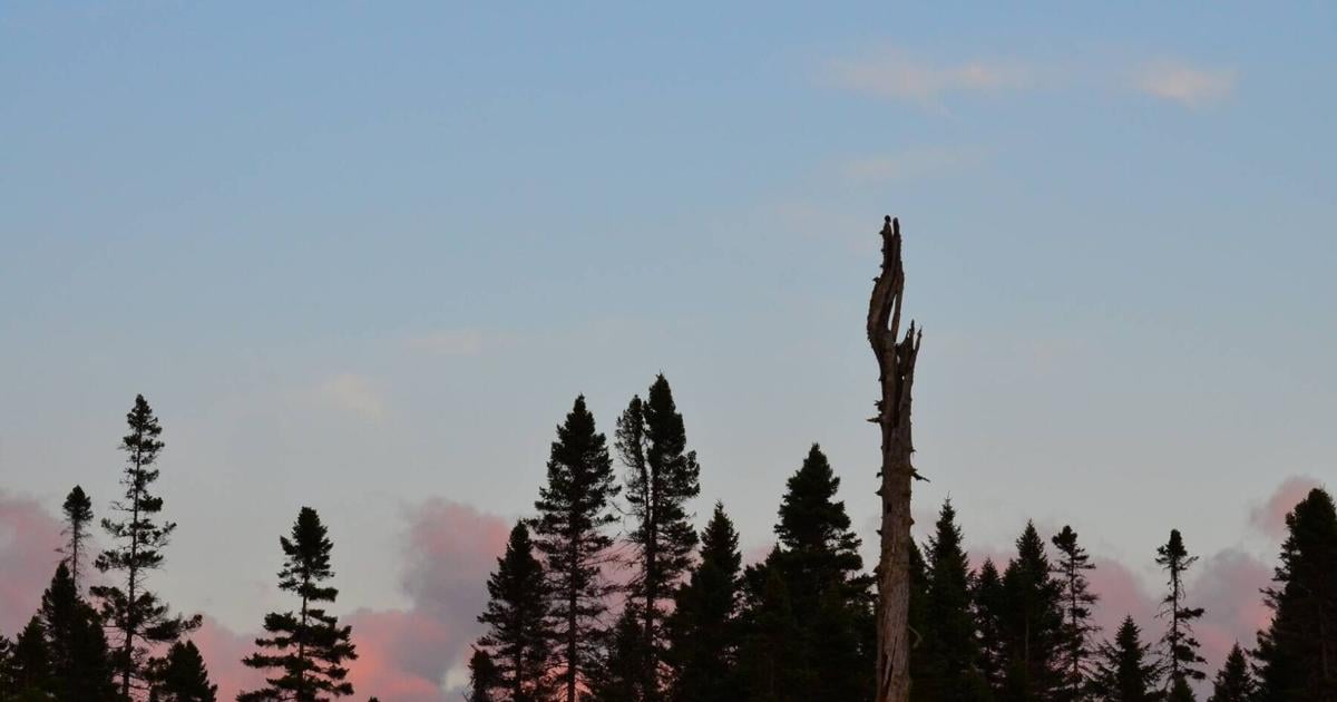 State Passes On Conn. Lakes Forest Purchase, But Will Enforce Easement