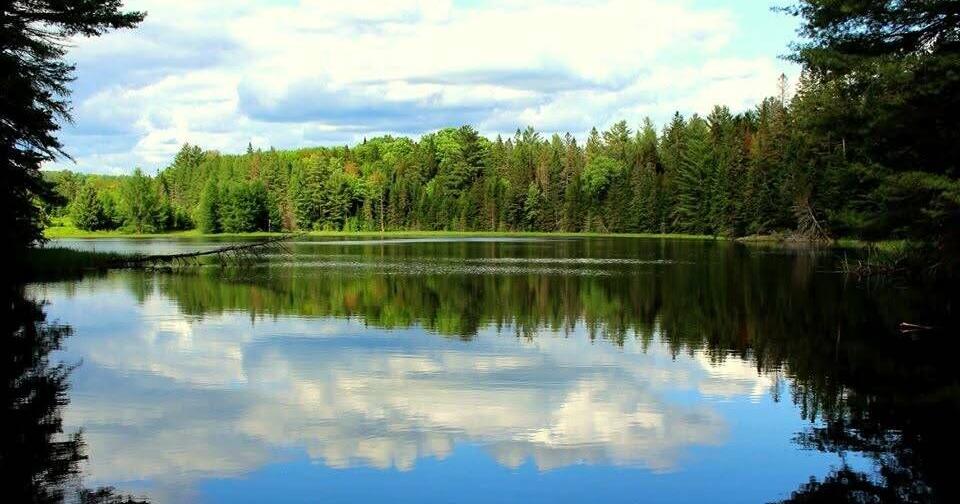 Burke Mulls Options For Pete’s Pond Beaver Dam