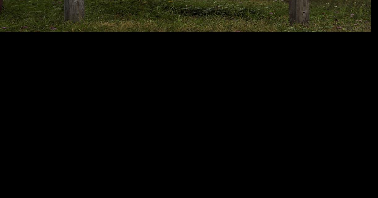 New Waumbek Golf Course Owners Announce Plans For Historic Links