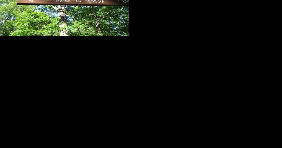 Hiker Carried Out After Knee Injury - Vimarsana News