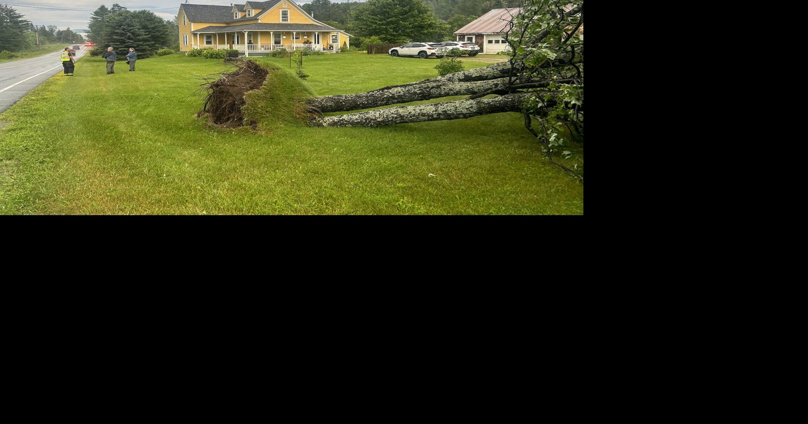 Trees Uprooted, Utility Lines Down As Strong Storm Blows Through Local Communities