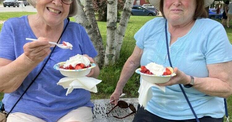 54th Burklyn Arts Council Summer Fair Sees Bluebird Skies, Great Turnout - Vimarsana News