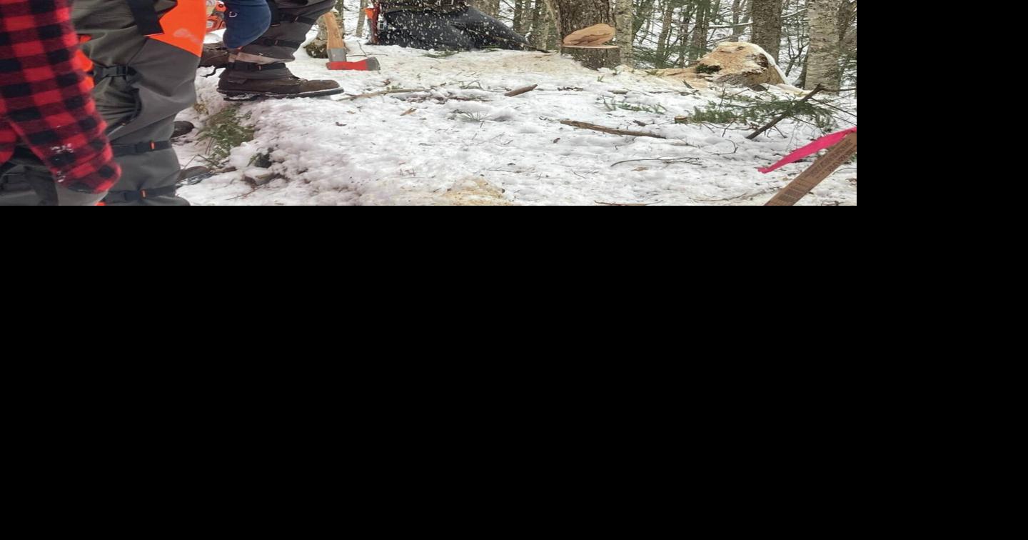 LI Students Complete Game of Logging Training and Classification