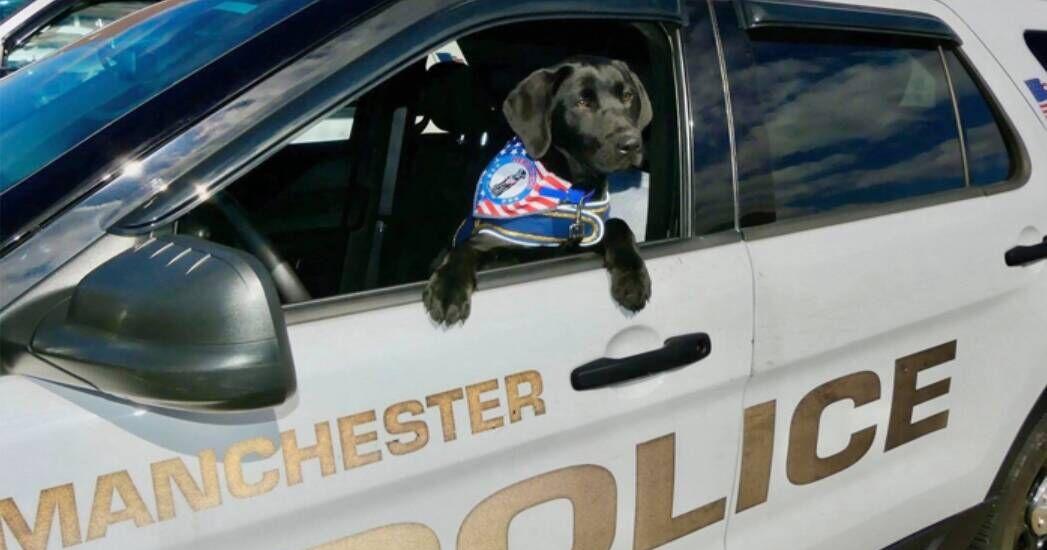 State’s Opioid Abatement Settlement Could Fund Littleton Police Department Comfort Dog