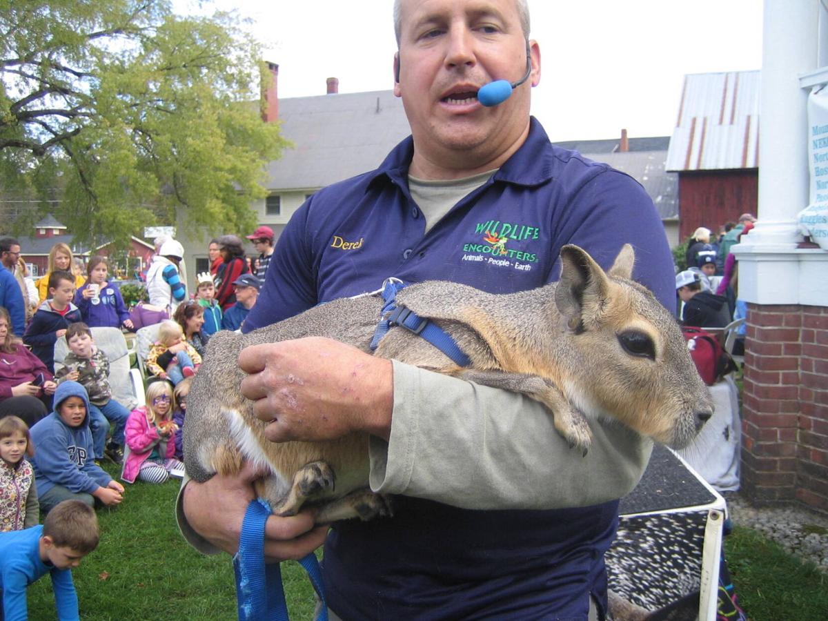 Burke Fall Festival Returns | Entertainment | caledonianrecord.com