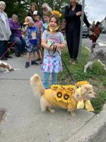 Pet Parade Taking The Year Off; Organizers Plan For 75th Anniversary Next Spring