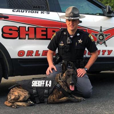 Orleans County Sheriff S Dept Named Finalist In Contest To Win New Suv For K9 Unit News Caledonianrecord Com