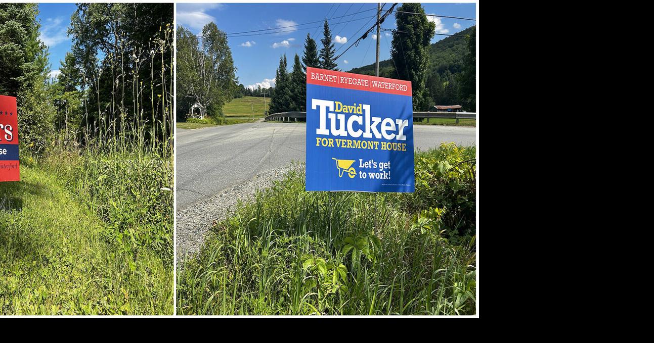 Competing Candidates In Caledonia 1 House Contest Urge Respect For Political Signs