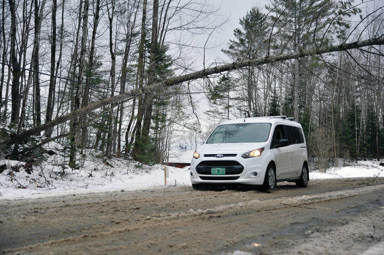 Strong Wind Knocks Down Trees In St. Johnsbury