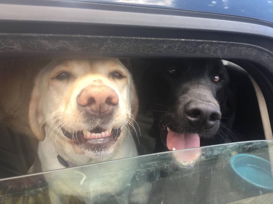 Local Events Local News