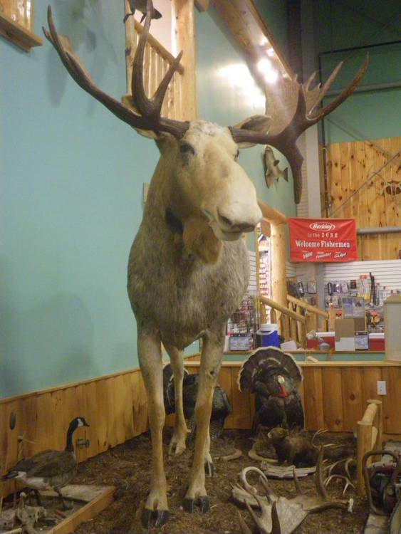 LL Cote In Errol Is The Best Of The North Country Hunting Goods Store