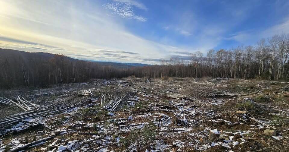 Two Local Men Charged With Deceptive Logging Practices