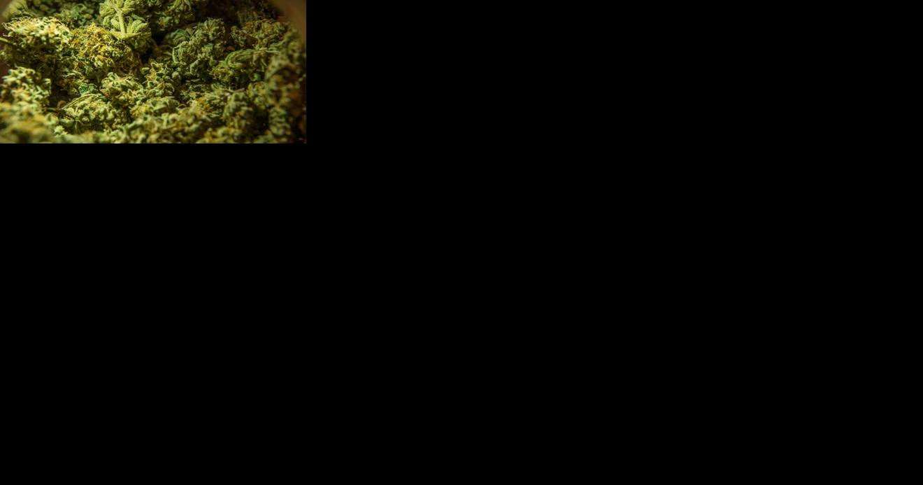 Local Efforts Advance For Recreational Cannabis In New Hampshire - Vimarsana News