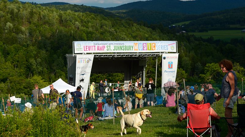 Votes To Bring Back Dog Mountain Music 