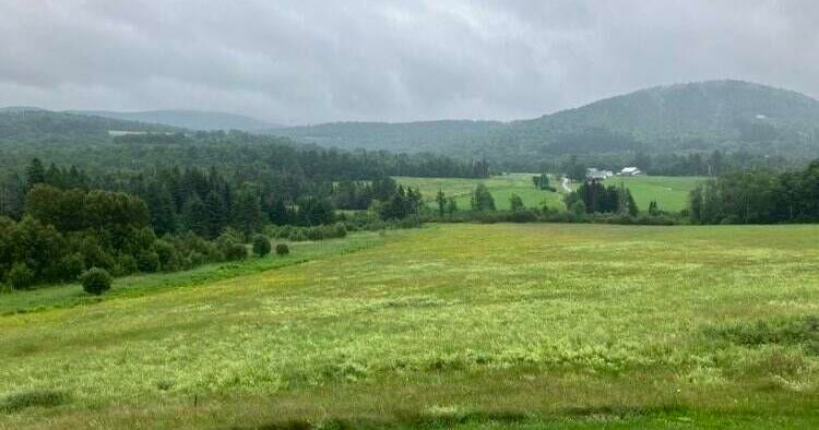 Managing Hay Fields To Protect Nesting For Grassland Birds - Vimarsana News