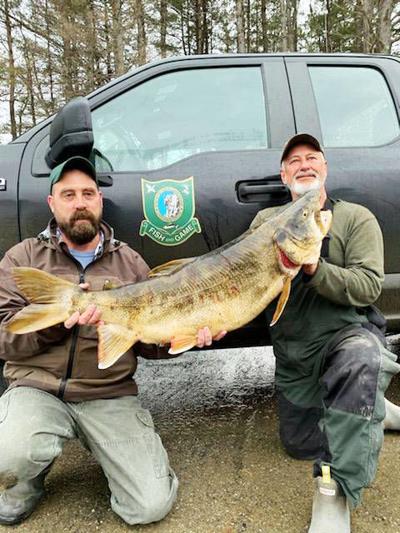Record Fish Caught In Stewartstown Local News Caledonianrecord Com