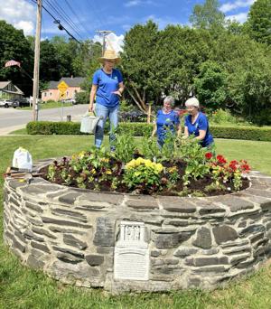DAR Never Forget Garden In Hardwick Sprouts First Flowers