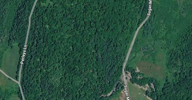 Lyndon Board Delays Paintball Course Decision, Seeks Sound Test And Parking Plan